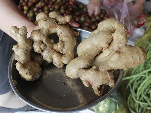 Gừng ta (trái) và gừng Trung Quốc (phải).