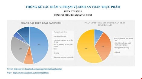 Thực phẩm bẩn từng lĩnh vực được nhóm này mô phỏng khá chi tiết theo loại sản phẩm, đối tượng kinh doanh.