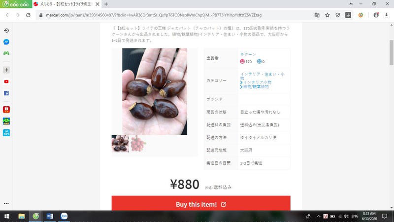 Chợ online quốc tế rao bán hạt vải thiều giá khủng - ảnh 3