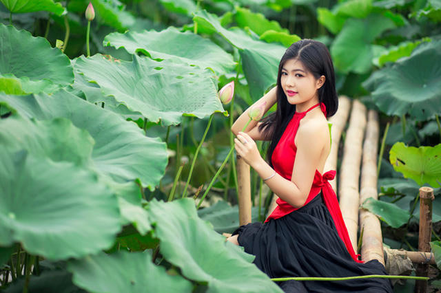 Minh Thư (nữ sinh Sư phạm) không quá vất vả nhưng vẫn có bức hình đẹp nền nã cùng sen (ảnh: Pai Trần).