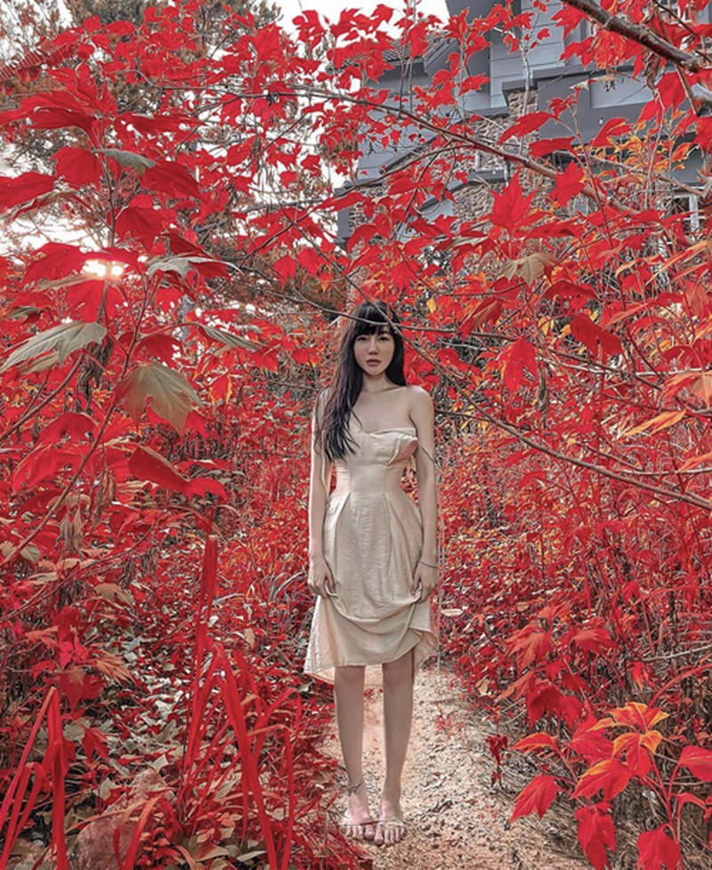 Sau thời gian dài ở nhà giãn cách xã hội, Elly Trần đã lựa chọn Đà Lạt là nơi để thư giãn và cân bằng cuộc sống trước những ồn ào về đời tư hôn nhân với chồng ngoại quốc.