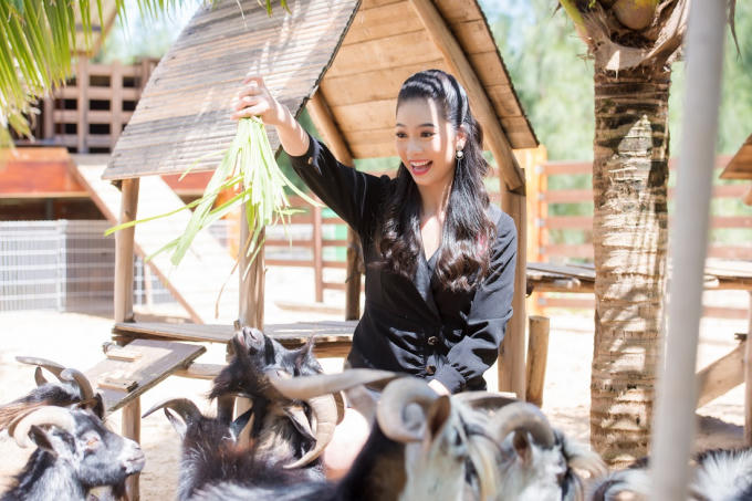 Một số thí sinh khác lựa chọn thăm thú FLC Zoo Safari Park - công viên động vật đầu tiên tại Quy Nhơn được thiết kế và xây dựng theo mô hình safari tiêu chuẩn.