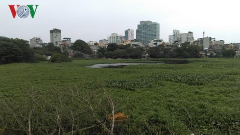 Hồ Linh Quang bị thu hẹp do bị lấn chiếm.
