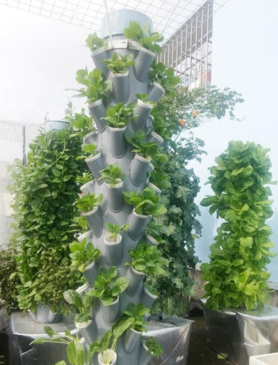 Bắt đầu làm vườn từ tháng 3, anh Sơn từng gặp nhiều khó khăn do tự chế mọi thiết bị và nguồn vốn eo hẹp. Nhưng chủ vườn cảm thấy rất hài lòng vì sau khi lắp đặt xong, mô hình thích hợp với những người "siêu lười" như anh.