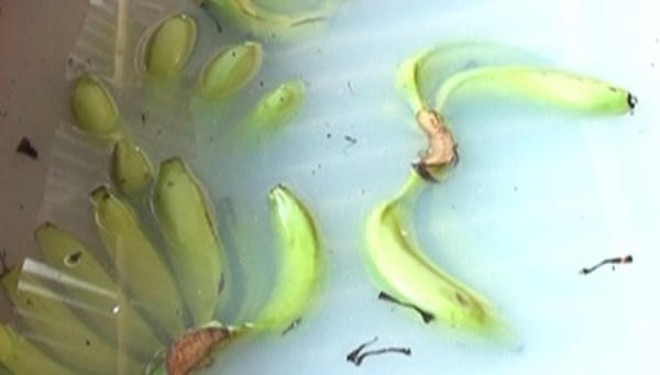 Bộ trưởng Cao Đức Ph&aacute;t từng n&oacute;i, &ocirc; ng cảm thấy