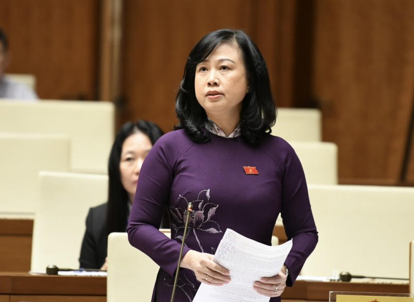 Bộ trưởng Bộ Y tế Đào Hồng Lan.