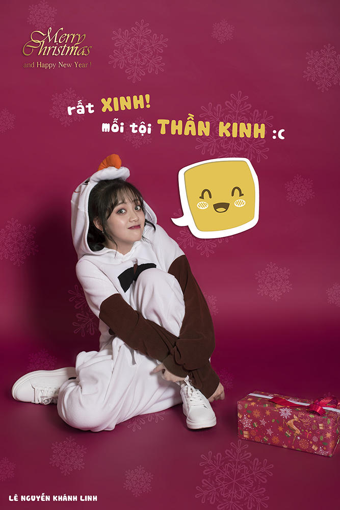 Năm 2017, cô nàng tham gia cuộc thi Miss Photo và xuất sắc lọt vào Top 10 chung cuộc. Sau cuộc thi, bên cạnh việc theo học tại Học viện Hàng không, Khánh Linh còn khá bận rộn khi tham gia một số chương trình truyền hình về ẩm thực, du lịch và chụp ảnh quảng cáo.