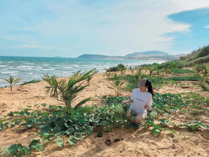 Dự án đất của gia đình cô rộng tới có thể xây được cả khu resort.