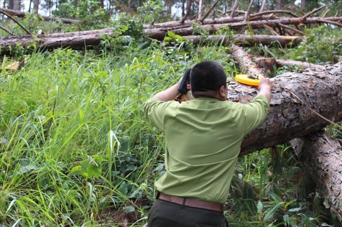 Thời gian qua trên địa bàn tỉnh Lâm Đồng liên tiếp xảy ra các vụ phá rừng.
