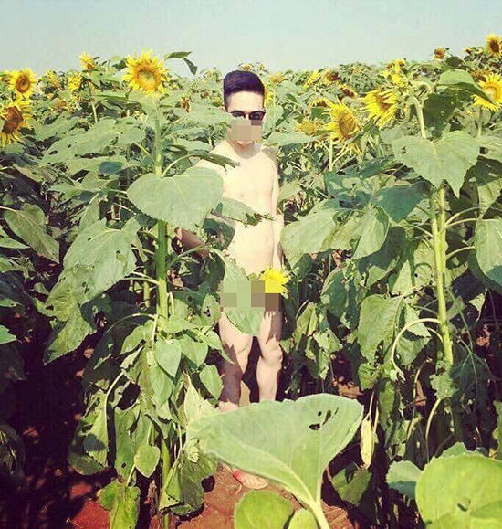 Hình ảnh nam thanh niên trong tình trạng khỏa thân hoàn toàn đứng tạo dáng chụp ảnh ở cánh đồng hoa hướng dương. (Ảnh: Facebook).