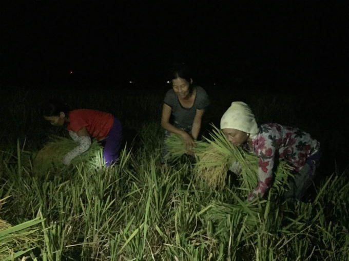 Bắc Giang: Tr&aacute;nh nắng