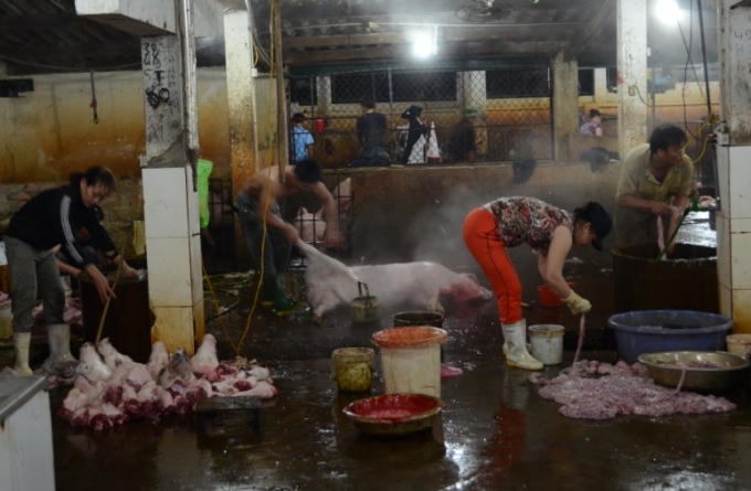 Mỗi ngày 150 - 200 con lợn được giết mổ tại đây để cung cấp thịt cho người tiêu dùng trên địa bàn TP Vinh và vùng phụ cận.