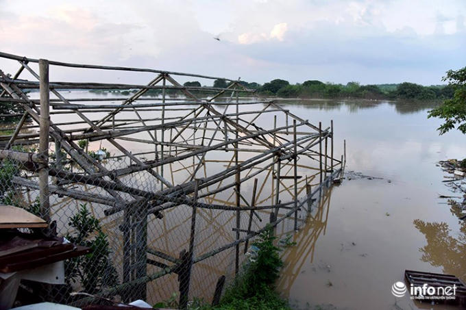 Một vườn trồng quất bonsai bị nước cuốn tr&ocirc;i, chỉ c&ograve;n trơ khung.