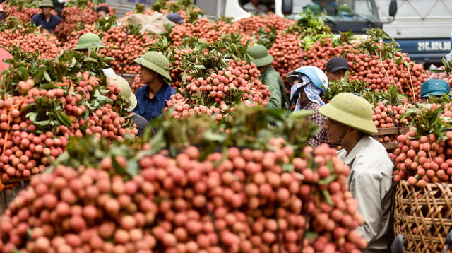 Do số người bán đông nên nông dân phải chờ đợi rất lâu mới tới lượt bán.