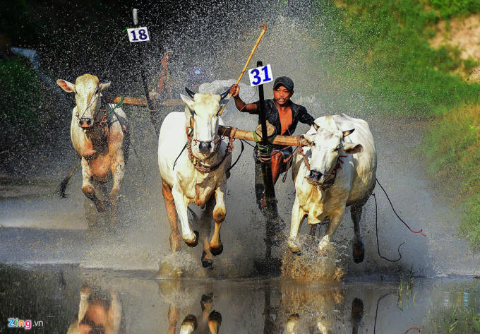 Ngoài ra, sân Chùa Rô còn có hậu cảnh đẹp do có ngôi chùa ở sát bên, phía sau có Núi Rô, núi Trà Sư và nhiều ngọn núi khác trong rặng Thất Sơn bao quanh.