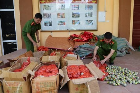 Lực lượng chức năng kiểm đếm số pháo nổ.