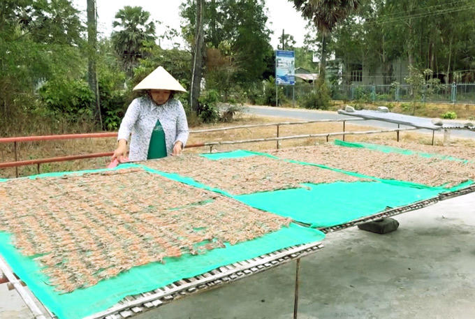Nhiều lao động có thu nhập khá nhờ làm công tại cơ sở sản xuất khô nhái. Ảnh: M.A.