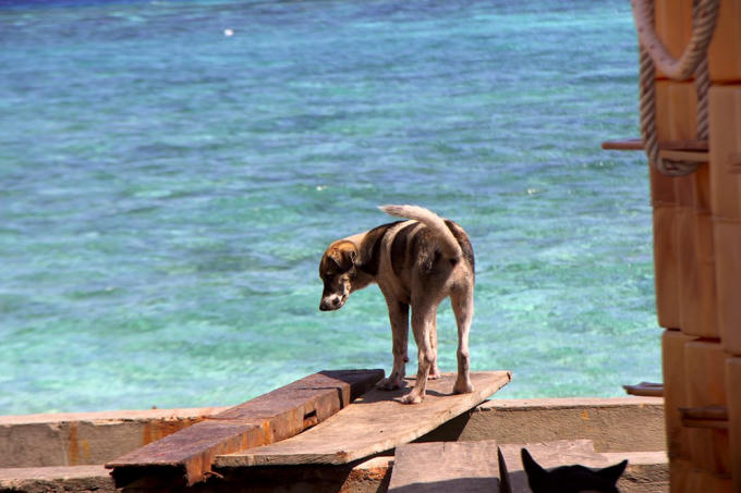 Đội đặc nhiệm đêm tỉnh hơn ngày ở Trường Sa