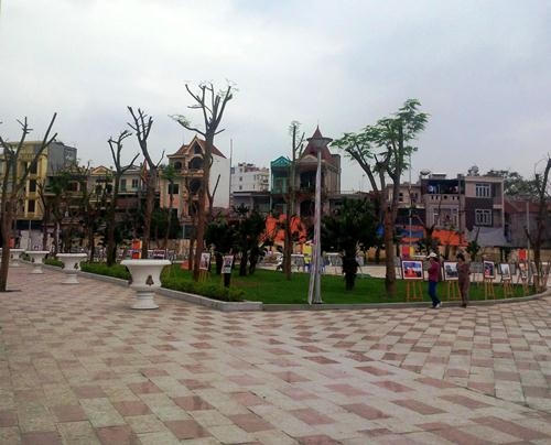 Công viên cây xanh Tam Bạc (Ảnh: qdnd.vn)