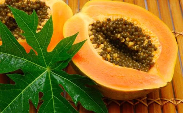 Đu đủ là loại quả bị ép chín nhiều nhất.