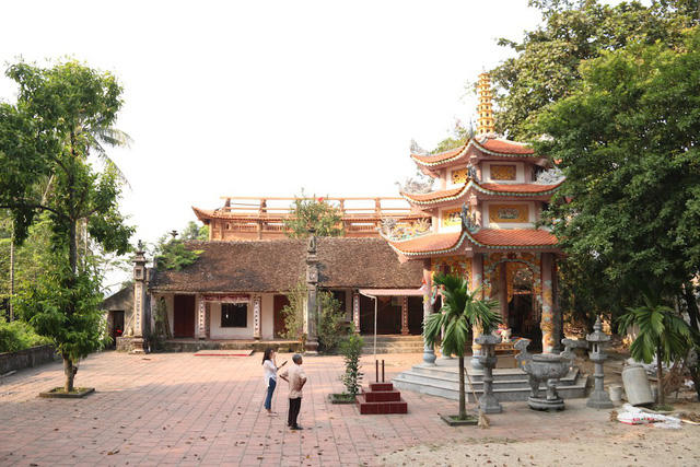 Hiện thôn Phụ Chính còn 2 cây sưa đỏ cổ thụ đều nằm trong khuôn viên chùa làng và được người dân canh gác cẩn thận. Ảnh: Trọng Trinh