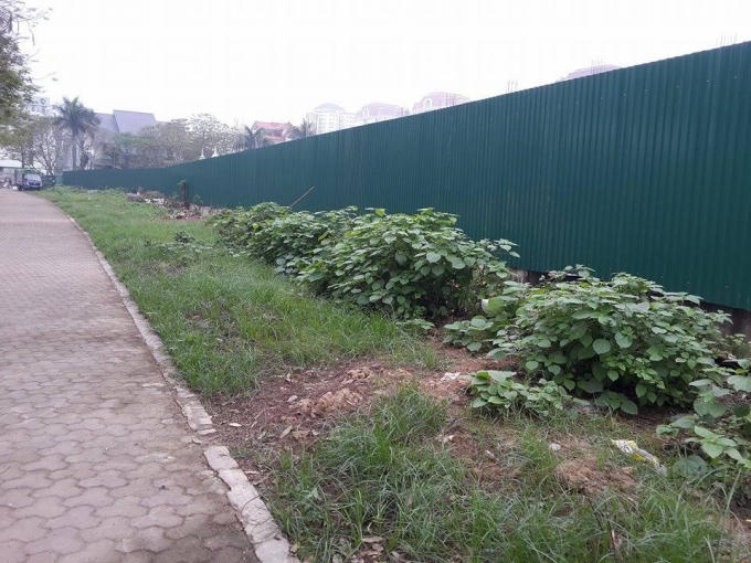 Công trường được quây tôn kín, phía ngoài cỏ mọc um tùm.