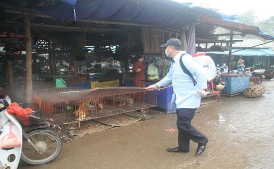 Triển khai các biện pháp phòng chống dịch cúm gia cầm. Ảnh: minh họa