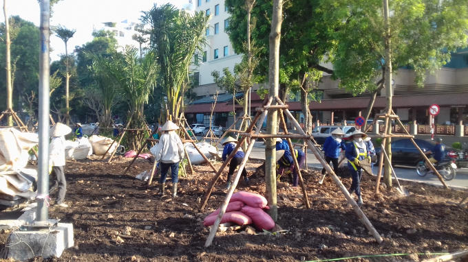 Các công nhân đang đổ đất trồng cây ven cầu.