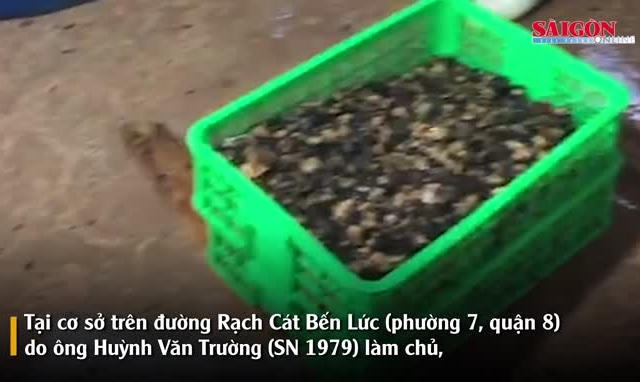 Video: