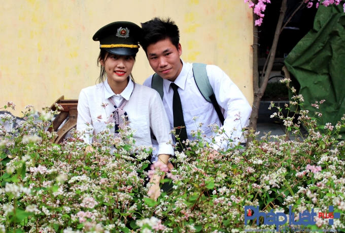 Đôi bạn trẻ chụp hình bên những cánh hoa đến từ Hà Giang.