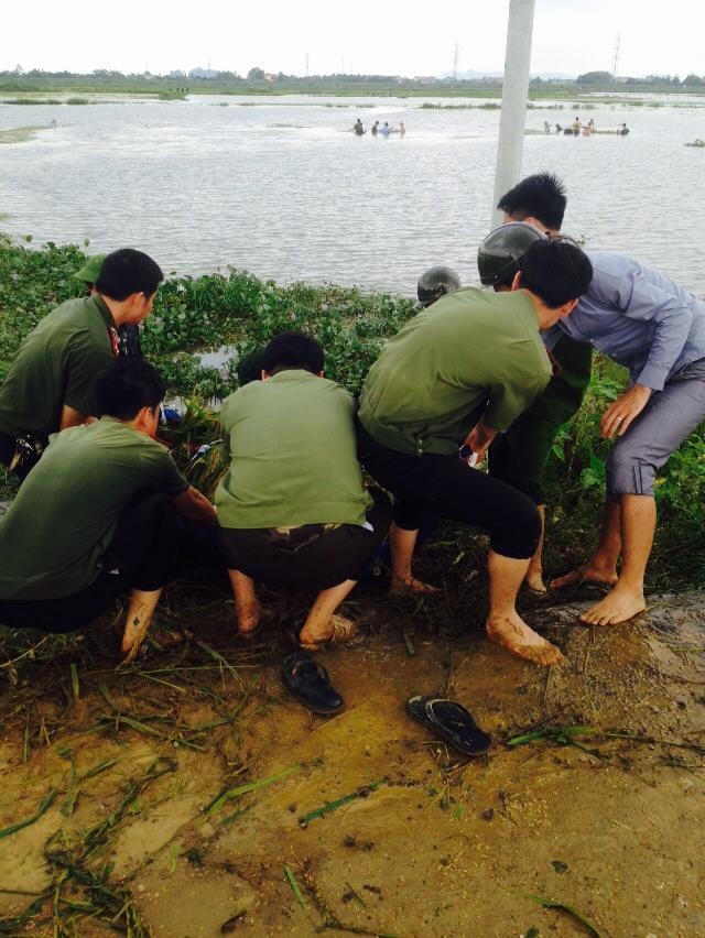 Các chiến sỹ kéo lúa lên bờ.
