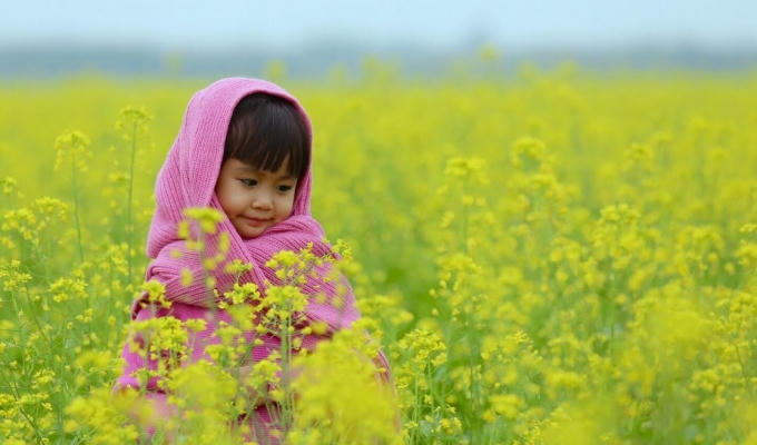 Em bé và hoa cải