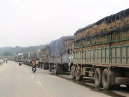 Trước heo, dưa hầu cũng từng ùn ứ tại cửa khẩu và cần đến những chiến dịch giải cứu