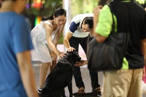 Cấm chó to, chó dữ không rọ mõm đi vào không gian đi bộ quanh Hồ Hoàn Kiếm. (Ảnh: Thắng Nguyễn)