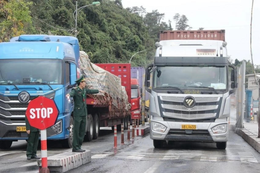 Tạm dừng áp dụng Nghị định số 46 về an toàn thực phẩm đến hết ngày 15/4/2026.