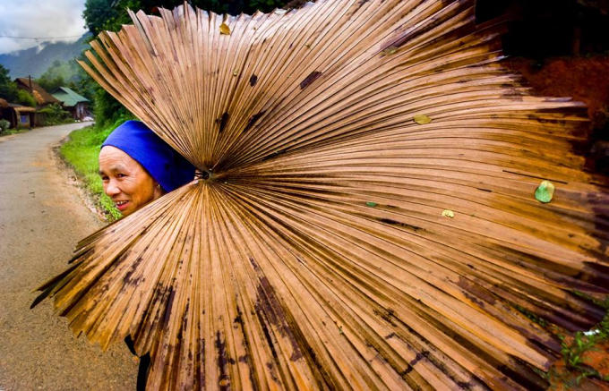 Cánh bướm trong mưa. (tác giả: Đỗ Thị Nhung)