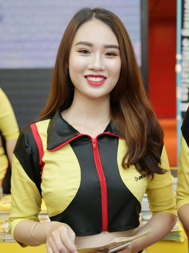 Ngoài các thương hiệu môtô, xe tải, triển lãm quy tụ nhiều gian hàng công nghiệp phụ trợ, chủ yếu đến từ Trung Quốc. Năm nay là năm thứ 15 triển lãm Vietnam AutoExpo diễn ra. Triển lãm chủ yếu là nơi trưng bày và trao đổi các hoạt động liên quan đến xe thương mại, công nghiệp phụ trợ. Một triển lãm khác quy mô hơn và có có hãng xe du lịch tham gia đông đảo nhất là Vietnam Motor Show thường được tổ chức vào dịp cuối năm.