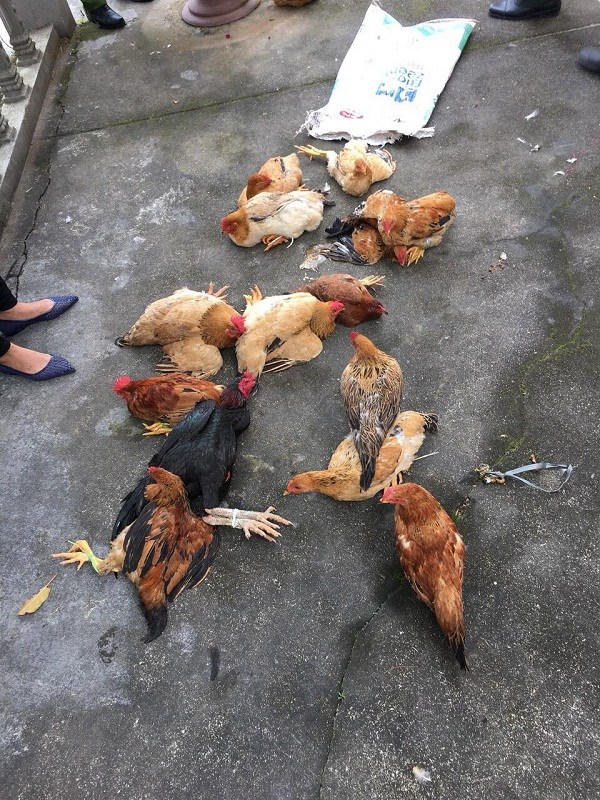 Tang vật thu giữ