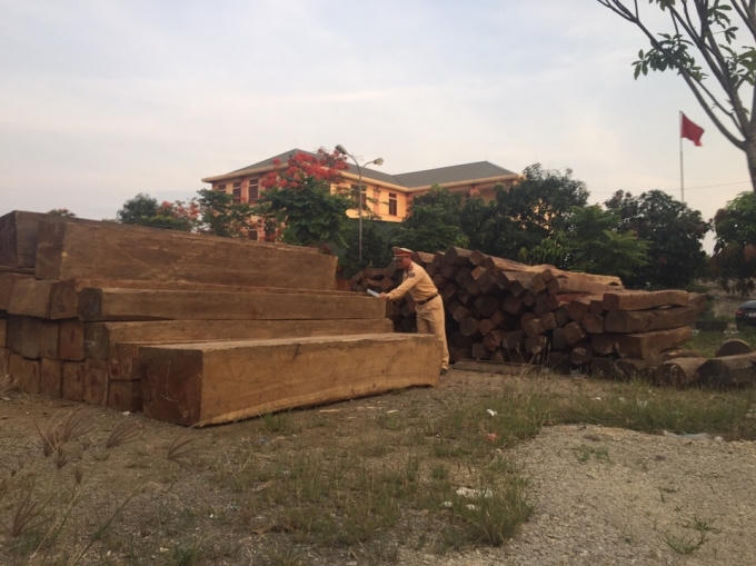 Lực lượng chức năng tiến hành kiểm đếm số gỗ, hoàn thiện hồ sơ bàn giao cho Phòng Cảnh sát kinh tế Công an tỉnh Nghệ An tiếp tục làm rõ.