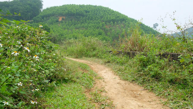 Khu vực đồi cao su nơi người đàn ông bị cắt