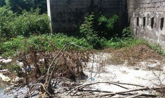 Nước từ cơ sở sản xuất “vô tư” được thải ra ngoài.