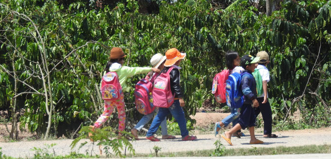 Học sinh bỏ học đi làm sớm ở huyện Krông Bông đã dần dần quay lại lớp học
