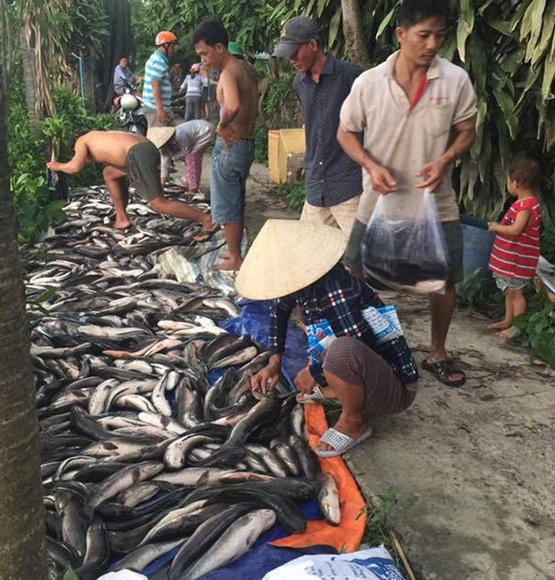 Người thân, hàng xóm đến chia sẻ với gia đình anh Du.