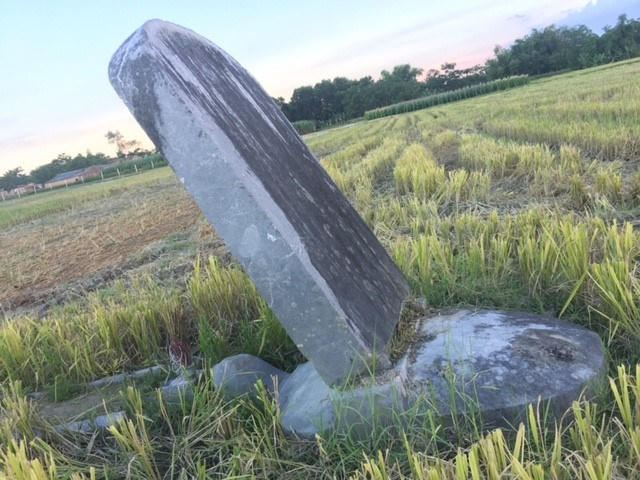 Tấm bia trên thân Rùa ở tư thế nghiêng.
