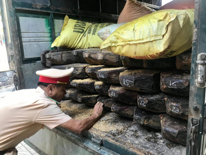 Khối lượng lớn gỗ không có nguồn gốc xuất xứ.