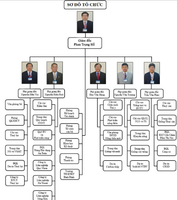 Sơ đồ tổ chức Sở NN&PTNT Bình Định có tới 5 Phó giám đốc sở.