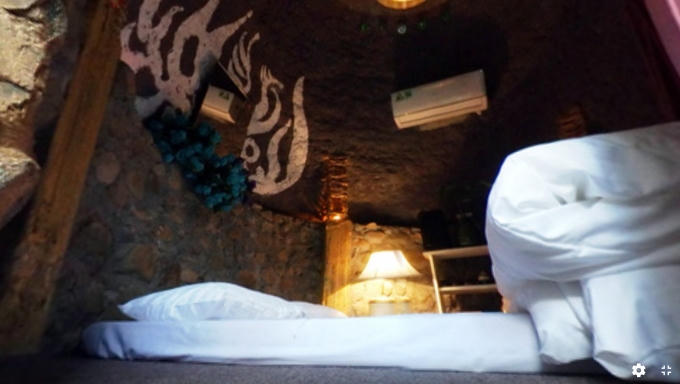 Kỳ dị nh&agrave; tr&ecirc;n... c&acirc;y