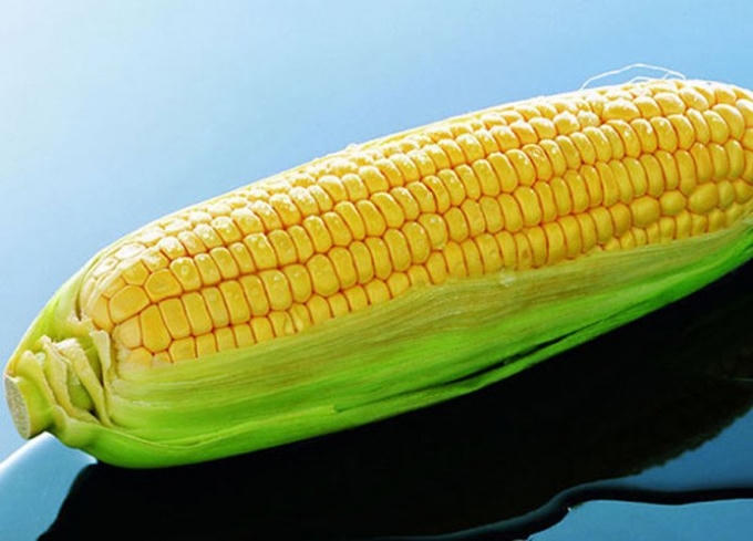 Khi ăn quá nhiều ngô, bạn dễ bị nứt da ở tay chân, thậm chí khắp người. Nguyên nhân là ngô thiếu các axit amin như lysine, tryptophan và niacin – giúp bảo vệ cơ thể khỏi bị nứt da.