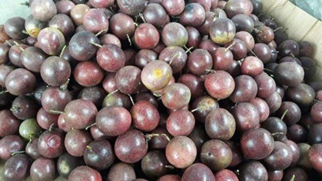 Anh287.