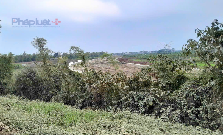 Từ trên đường ĐT.378 (đê tả sông Hồng) ta thấy con đường di sản thành hình chạy dọc ven sông, bám sát đê hiên hữu.